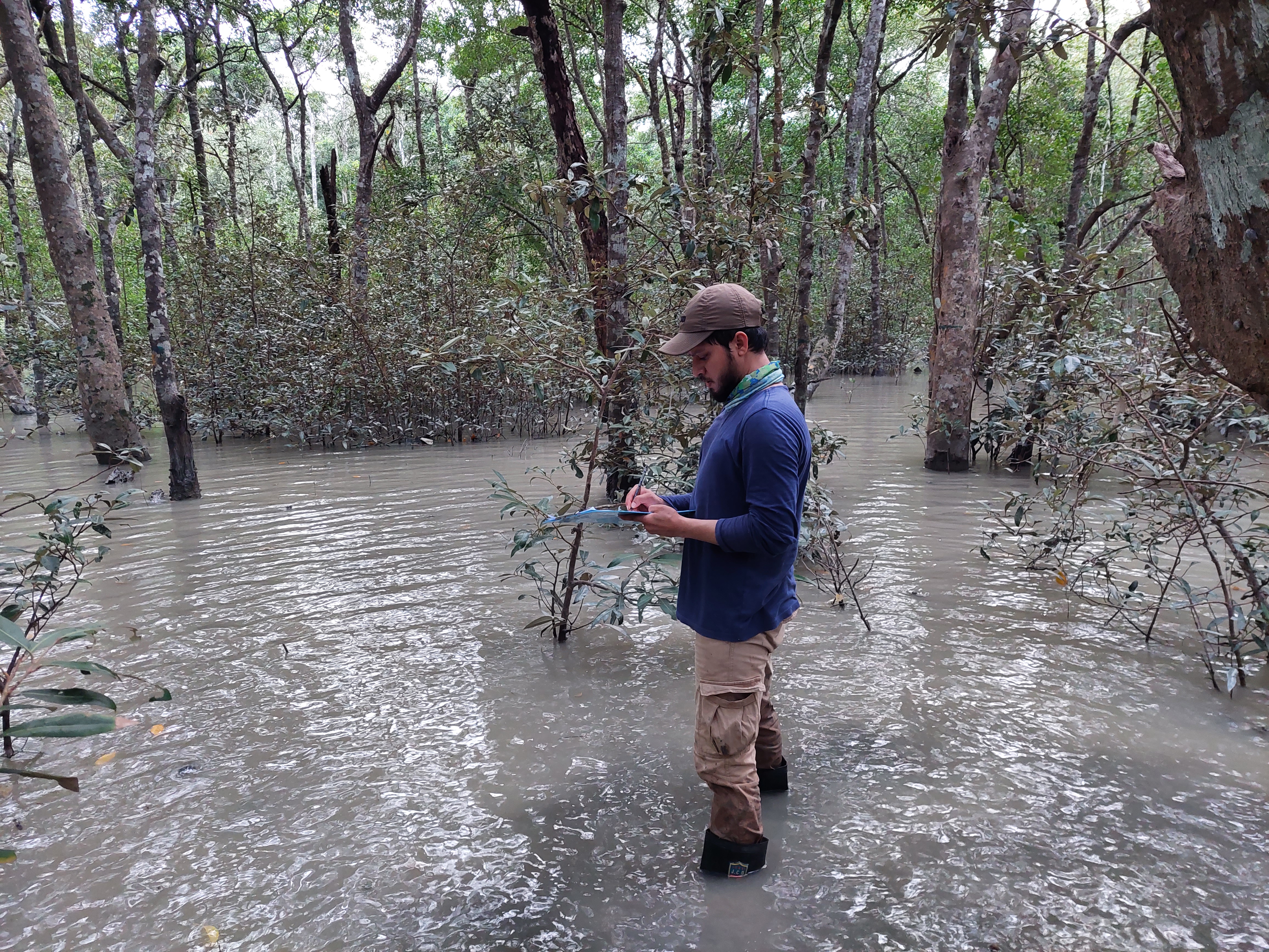 Sundarbans field research